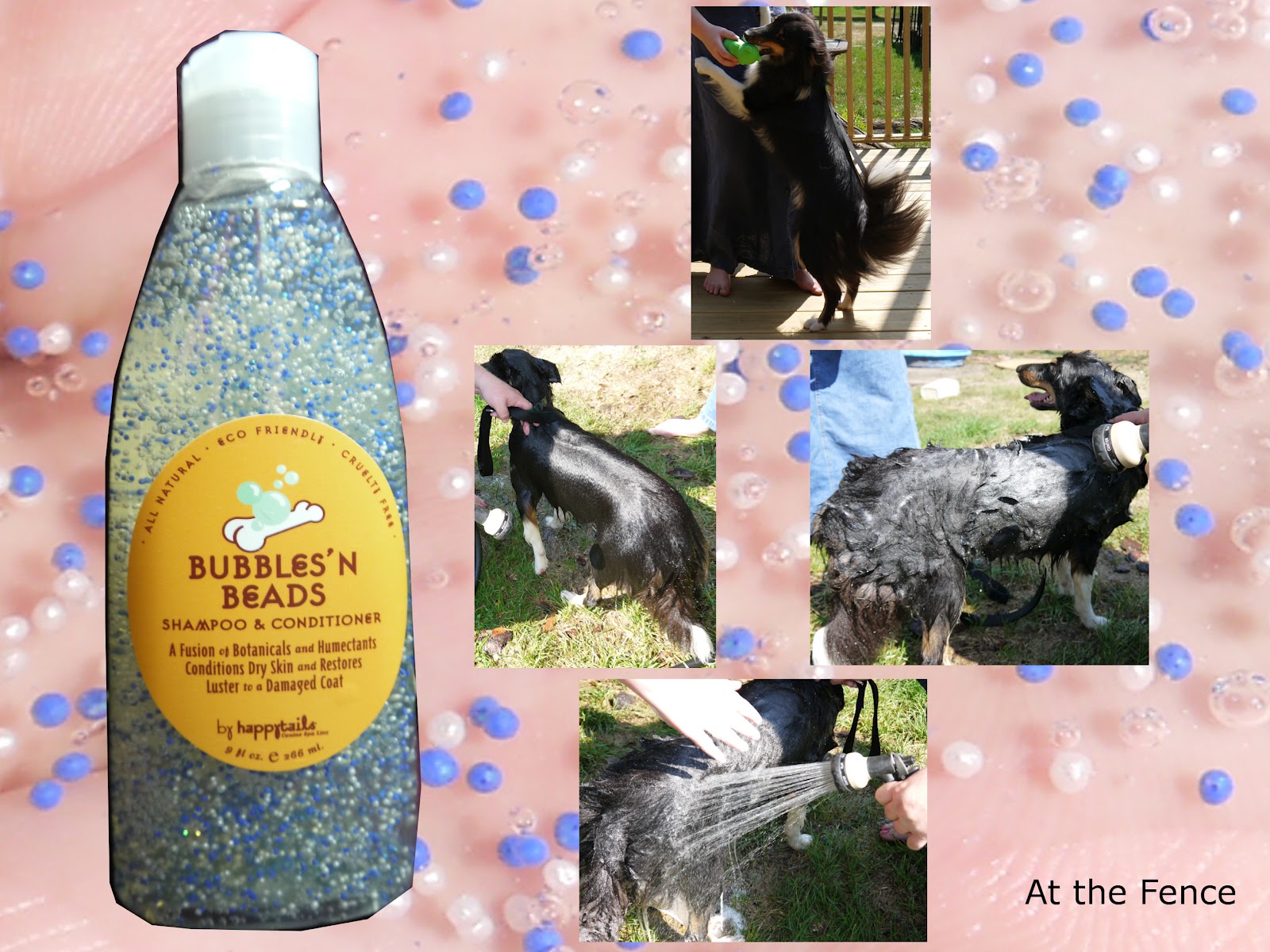 At the Fence Bubbles n' Beads! Dog Shampoo and Conditioner!
