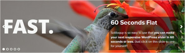 Soliloquy - Premium slider for WordPress