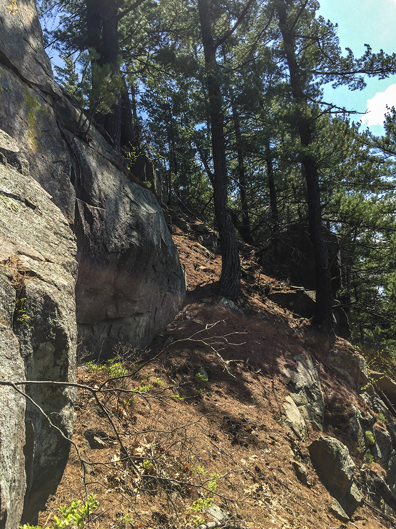 Wisconsin Explorer Hiking The Lone Rock Trail at Quincy Bluff