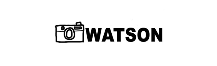WATSON PICTURES