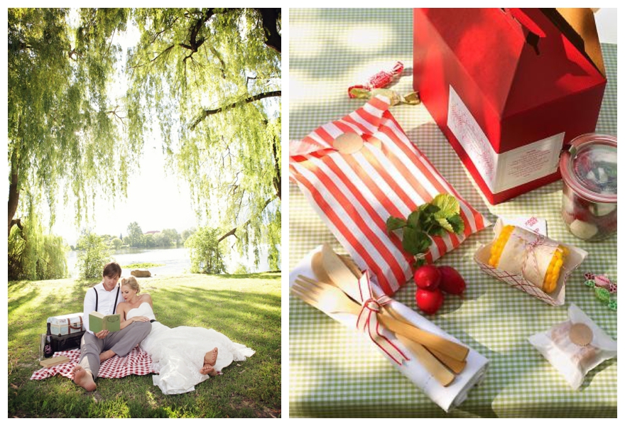 A Fabulous Picnic Wedding Theme