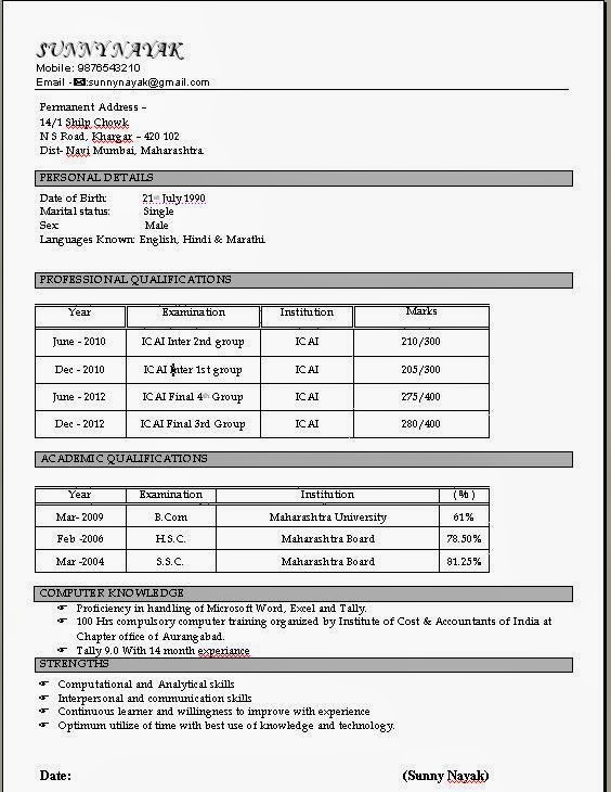 Latest Cv Format For Accountant Free Download