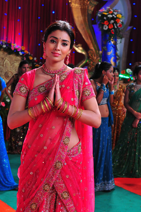 shriya saran traditional saree look