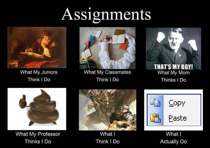 Assignment stress memes image