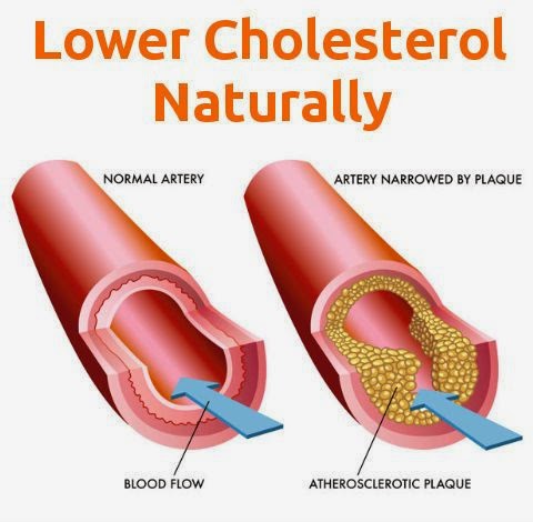 12 Foods That Lower Cholesterol Naturally 12 Foods That Lower Cholesterol Naturally