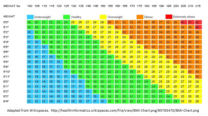 prevention based medicine the weight of the matter visual bmi calculator
