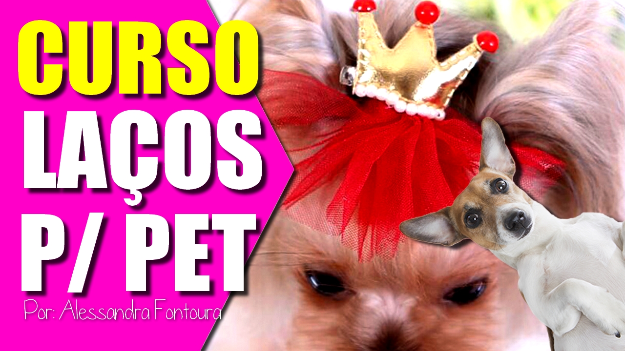 Curso Laços Para Pets