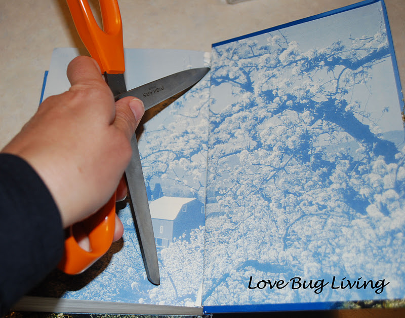 Love Bug Living Make your own Book Safe