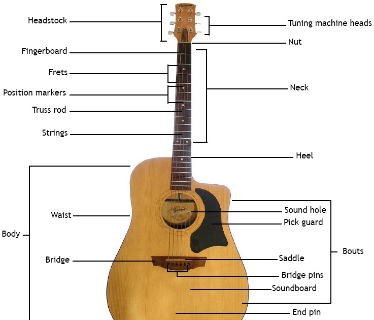 A to Z GUITAR GUIDE The Acoustic Guitar A Look