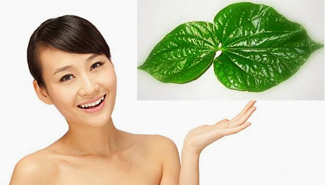 Trị nám bằng trầu không hiệu quả Tri-nam-nhanh-nhat