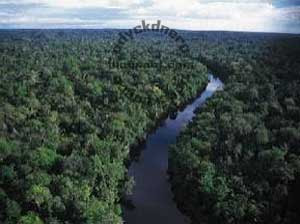 Sungai Amazon Sungai Terpanjang di Dunia