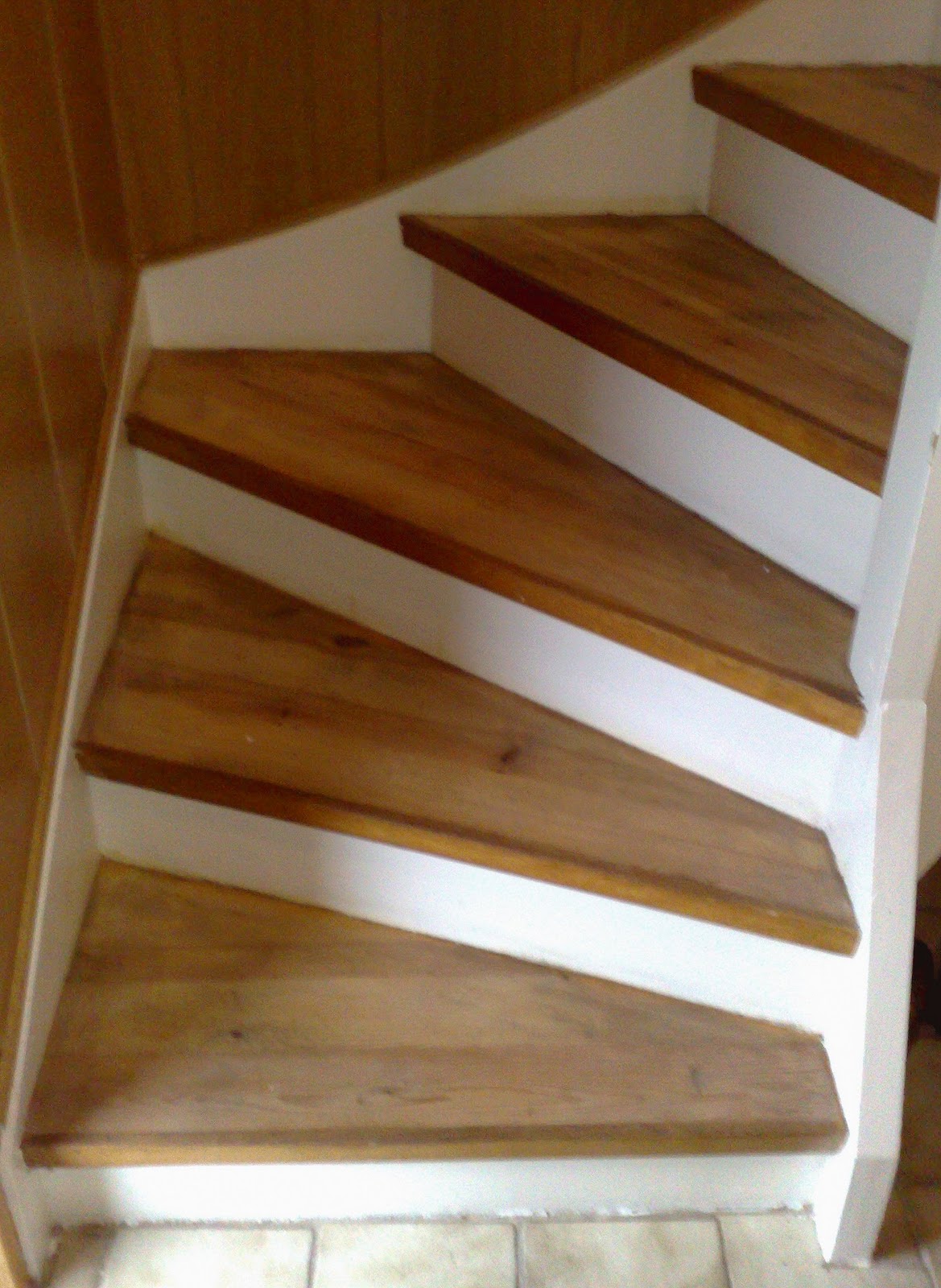 Male lakkert trapp