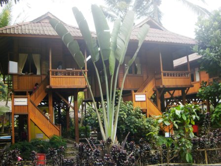48+ Rumah Bambu Taman Wisata Matahari Images