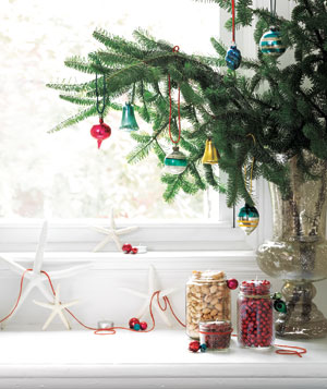 turquoise tulips and bliss tabletop tenenbaum bliss live plantable christmas tree