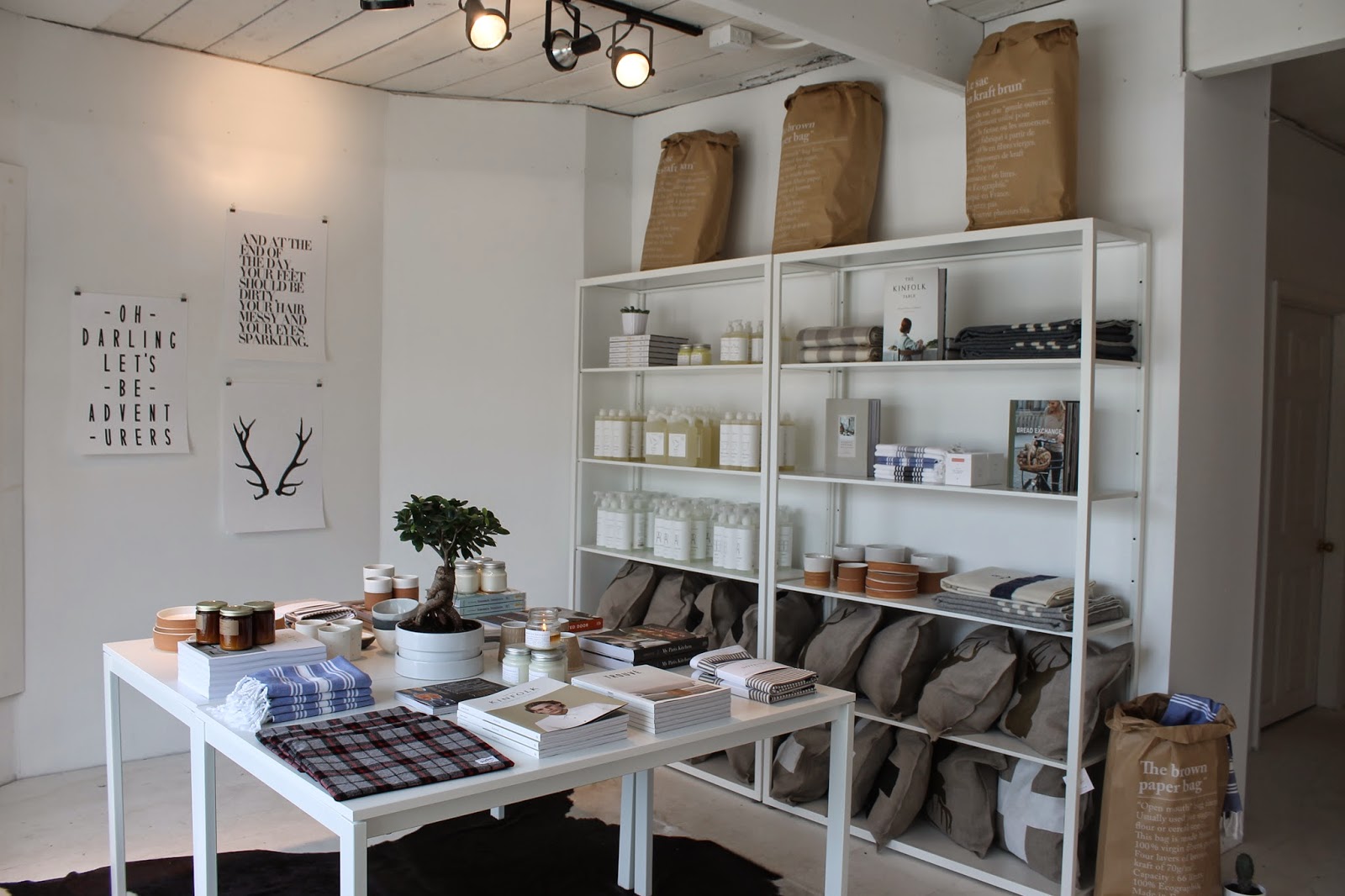 Exploring Beyond the Hedges Montrose Shop, Montrose