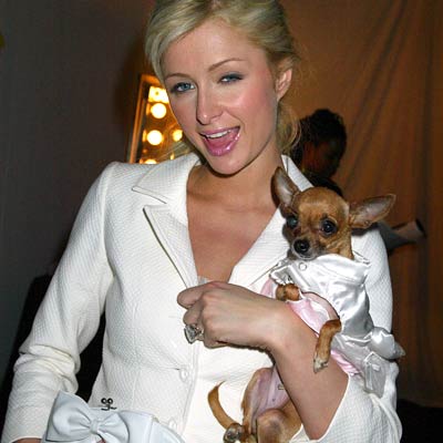 Paris Whitney Hilton Paris Hilton Pictures