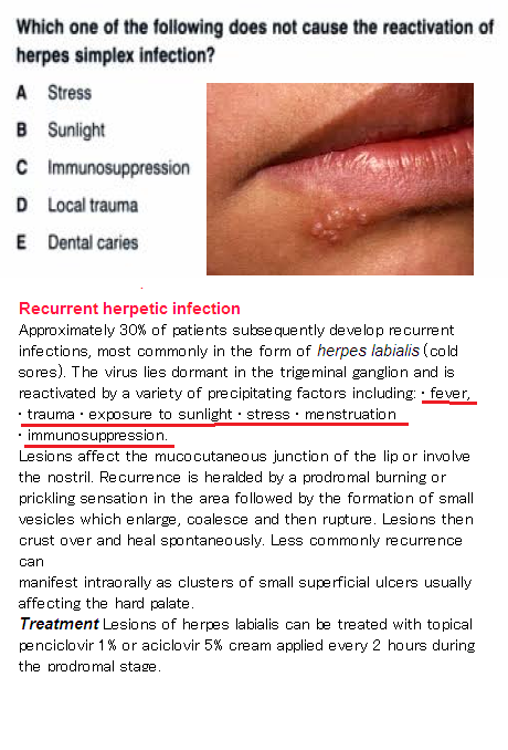 herpes disease essay herpes disease essay