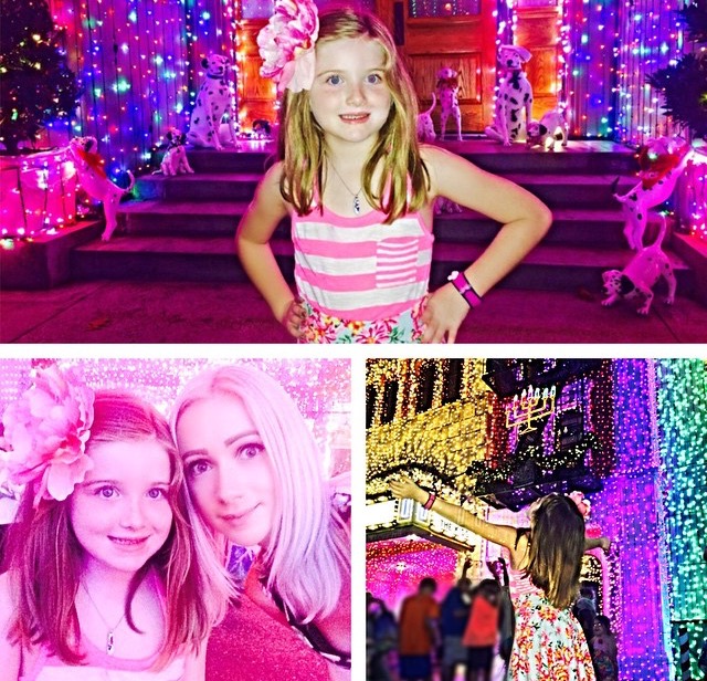 Immortal Fitness 15 places to see Christmas lights in the Tampa Bay area