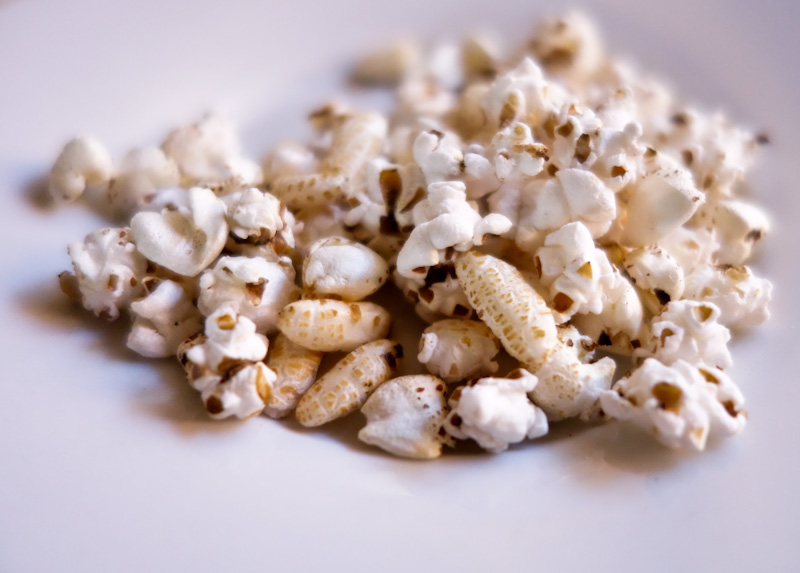 the indolent cook chewy nobake honey tahini chocolate puffed cereal bars