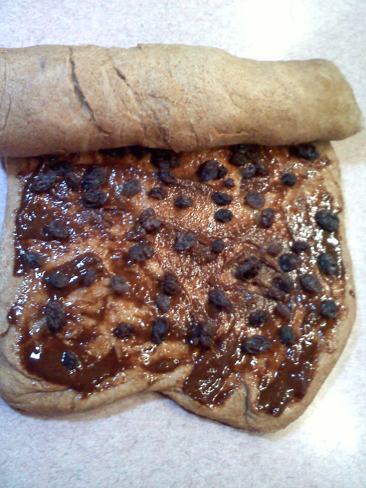 Choice Sustenance Whole Wheat Cinnamon Raisin Bread