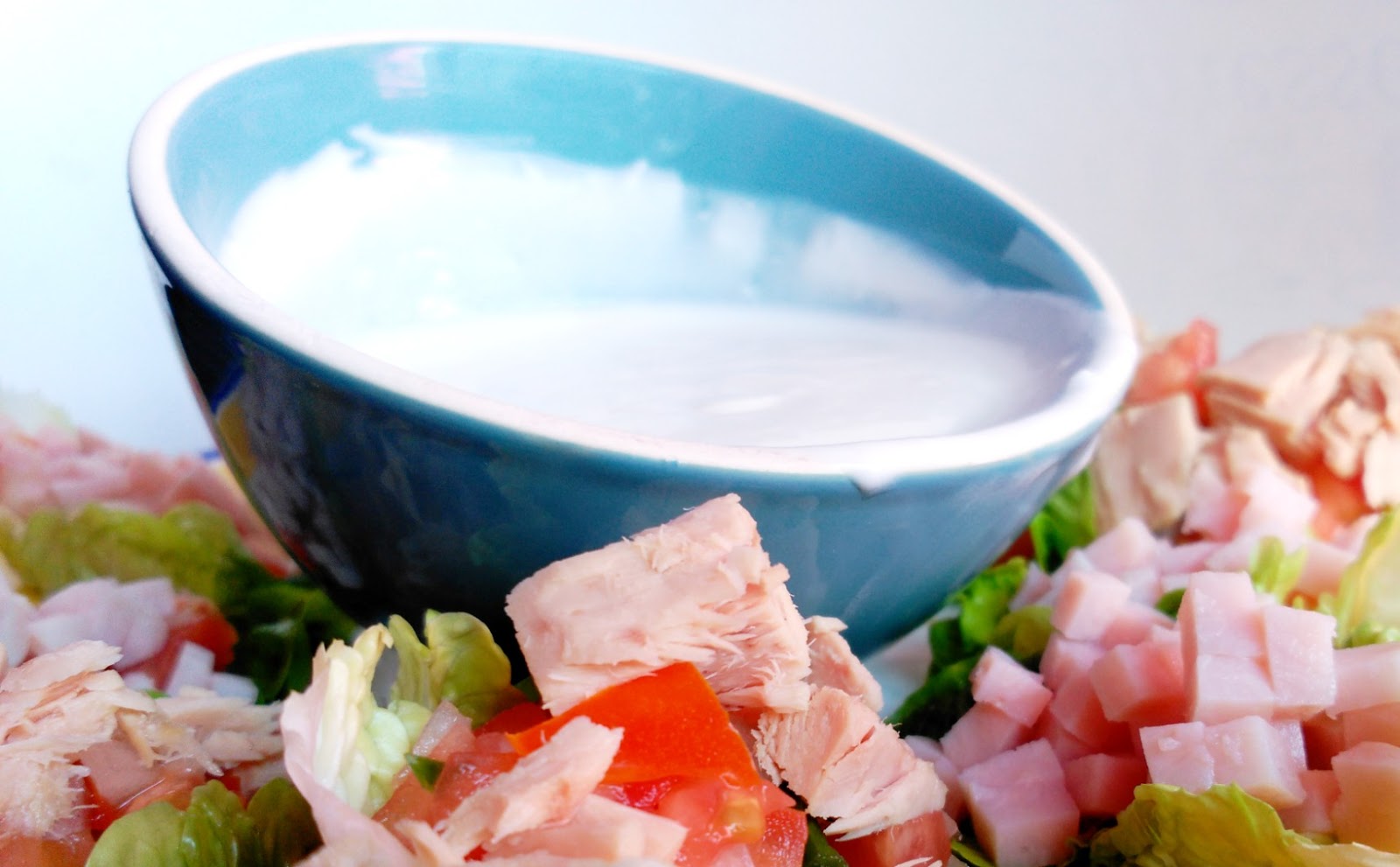 Salsa De Yogurt Baja En Calor As Recetas Fitness F Ciles Recetas ~ Recetas Faciles Y Bajas En Calorias Salsa De Yogurt Baja En Calor As Recetas Fitness F Ciles Recetas ~ Recetas Faciles Y Bajas En Calorias