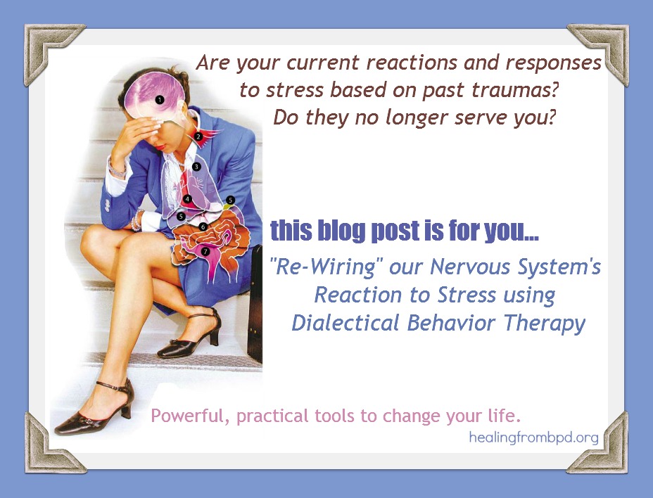 Healing From BPD Borderline Personality Disorder Blog "ReWiring
