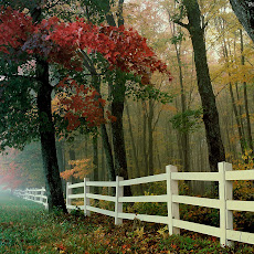Lakes Seen On www.coolpicturegallery.us Lakes Seen On www.coolpicturegallery.us
