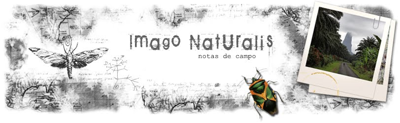Imago Naturalis