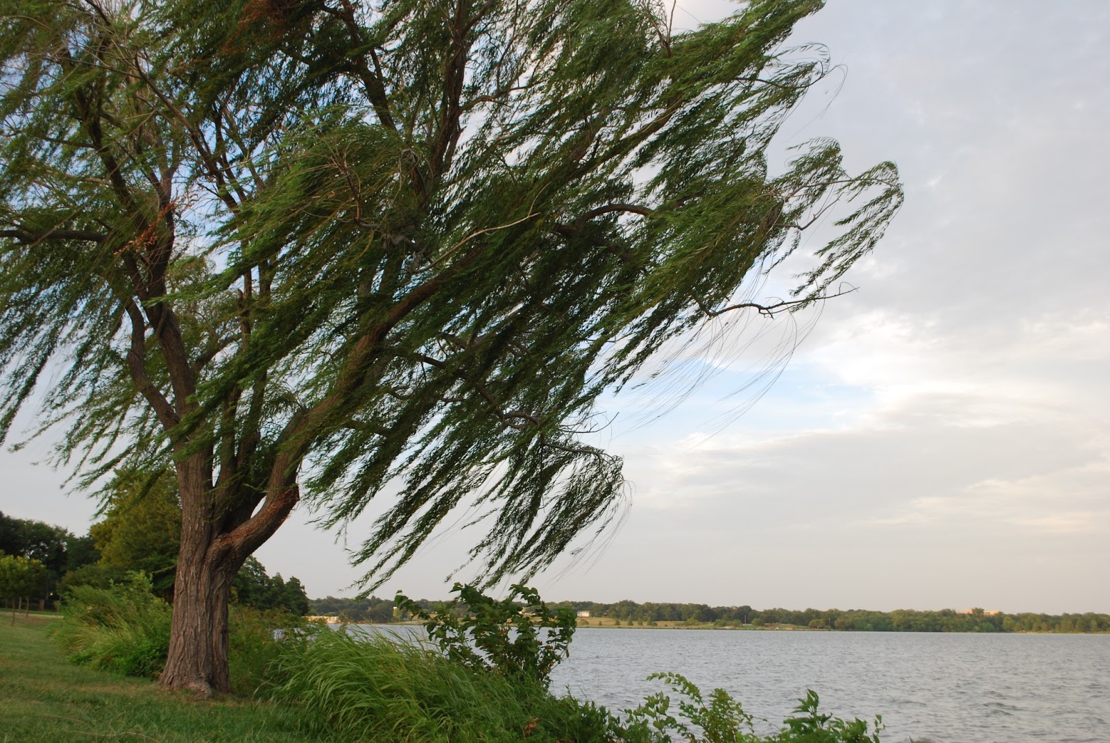 [Image: White+Rock+Lake.JPG]