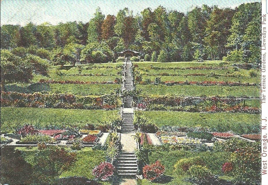 Stockton School Llewellyn Park