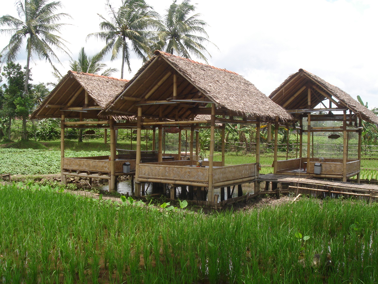 SALSABILA RESORT: RM SUNDA 'SAUNG GURAMI'
