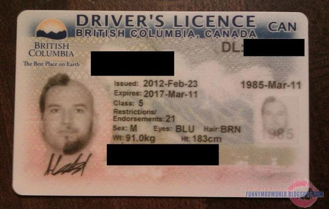 Funny Driver's License