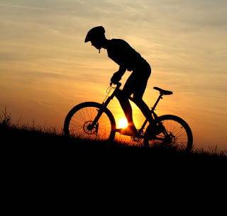 cycling jojopig.com