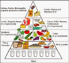 PIRÁMIDE DE LA ALIMENTACIÓN