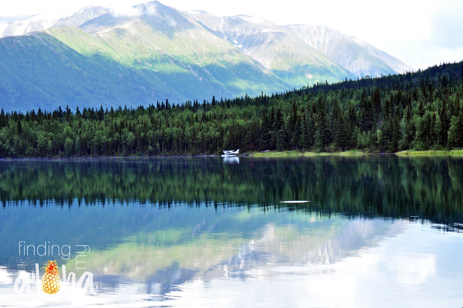 Alaska Float Plane