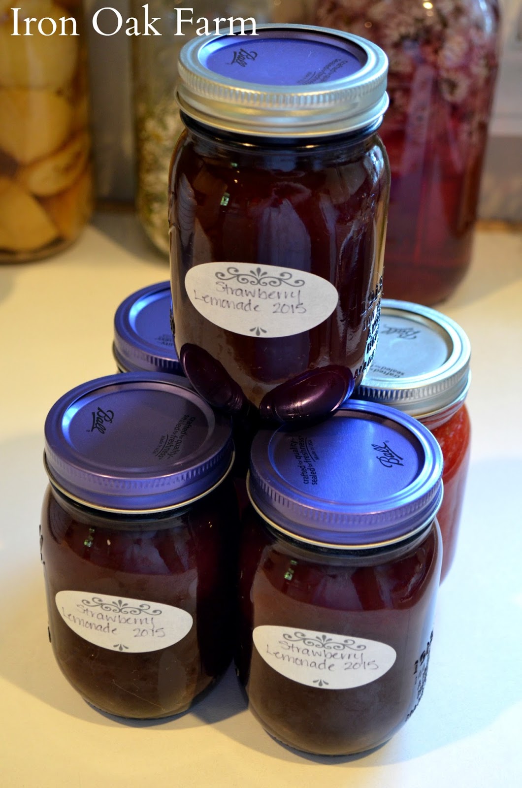 Iron Oak Farm Strawberry Lemonade Concentrate