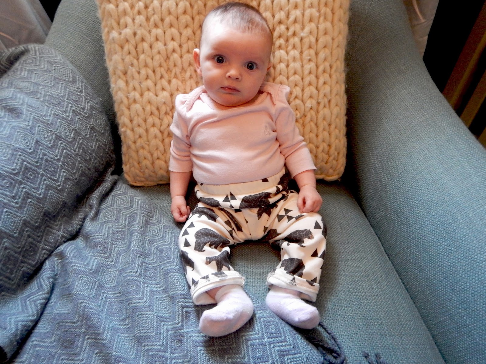 Fresh Coat of Paint Bear Pants