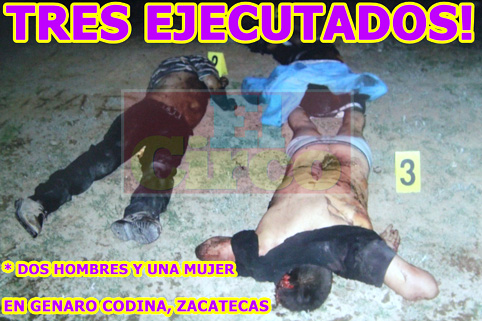genaro codina
