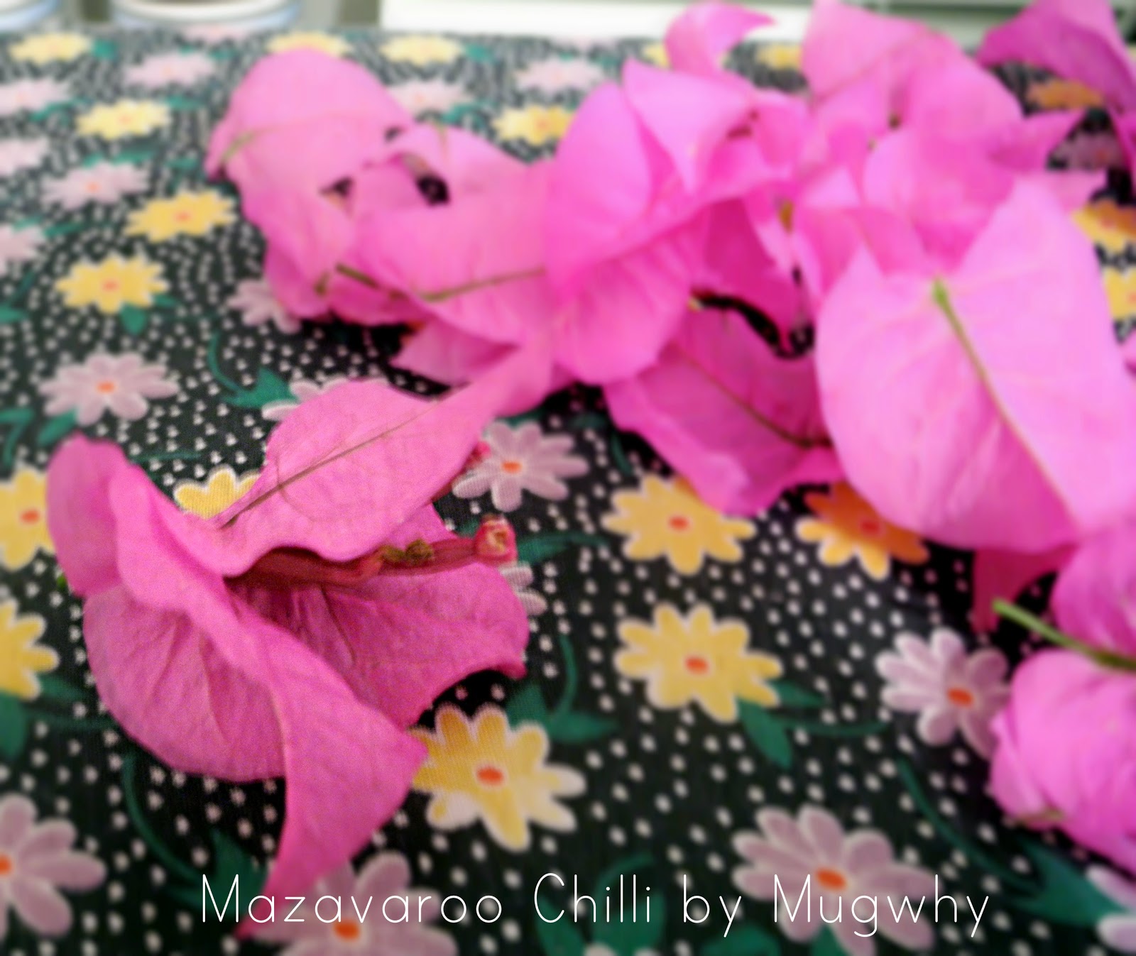 Mugwhys Vintage Wax Paper, Flower, Tea Light Lanterns.... Tutorial