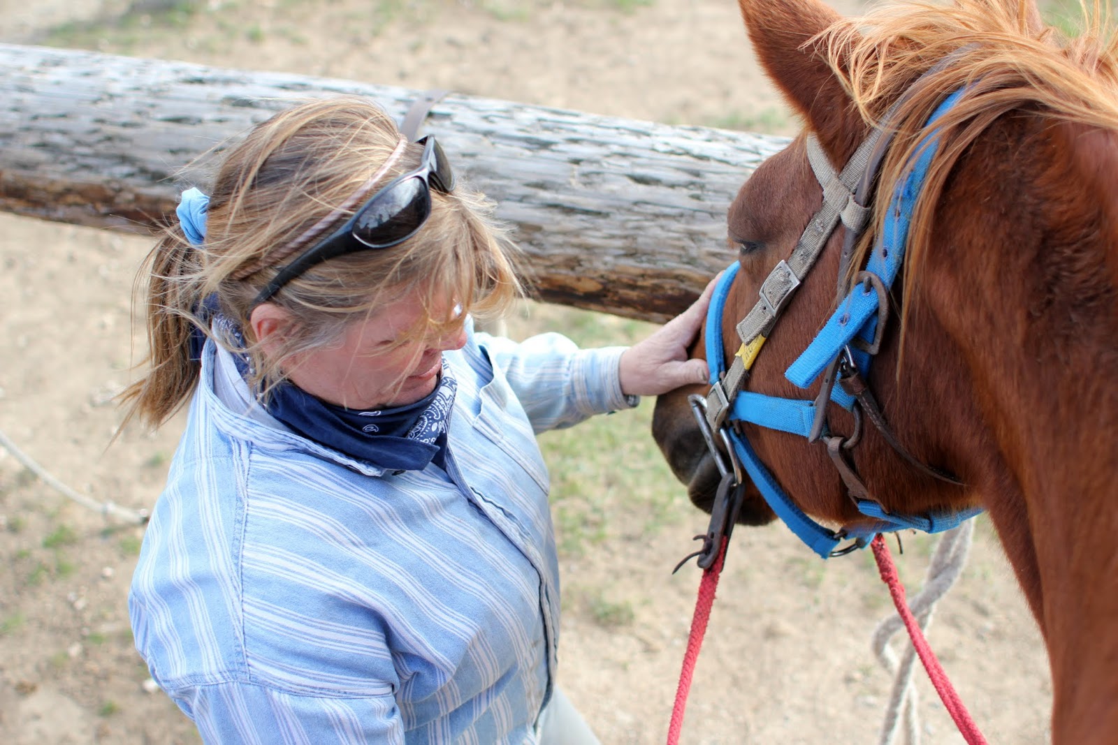 26 east ride with us wild rose equine center