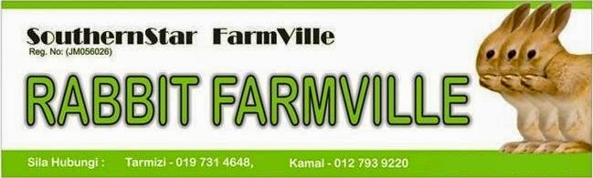 SouthernStar FarmVille - Rabbit Farm - arnab rabbit kelinci johor malaysia