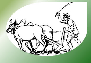 Agriculture Subsidies of India