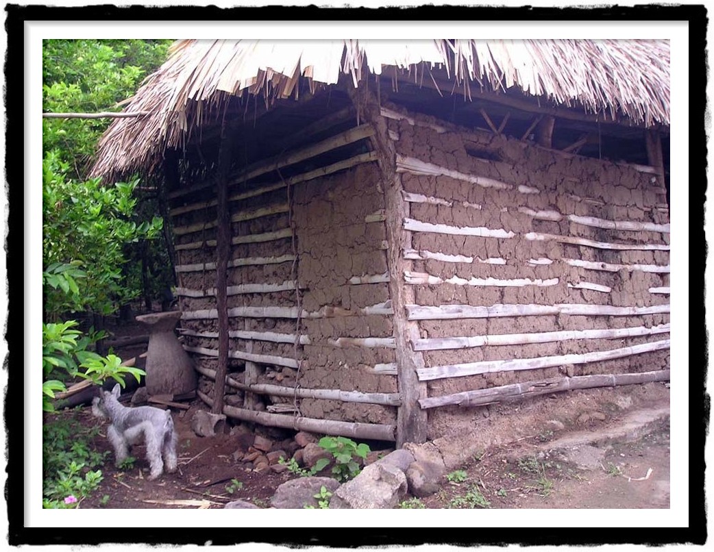 Palabras+De+Origen+Taino Palabras De Origen Taino http://365palabras.blogspot.com/2013/02 ...