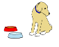 Brinque e interaja com o cachorro usando o mouse - gadgets interativos - jogos de cachorros - jogos de pet  