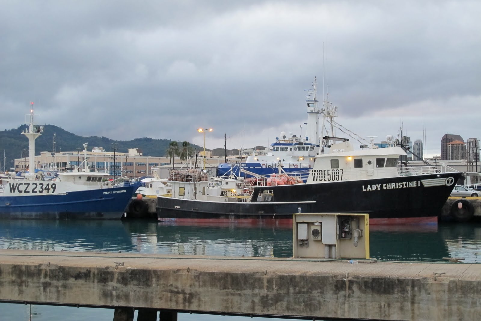 Honolulu Fish Auction Munchie Musings