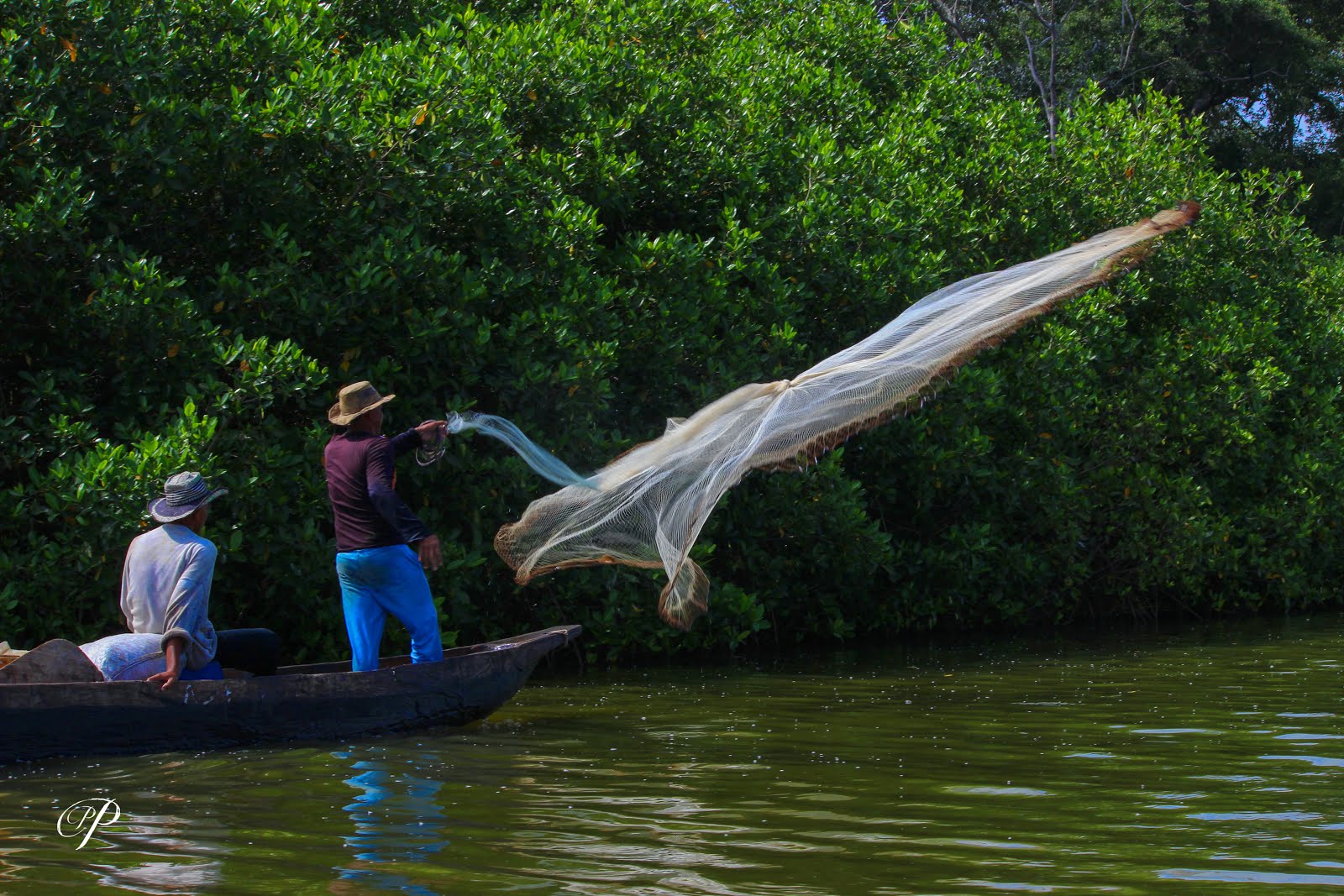 CIÉNAGA GRANDE DE SANTA MARTA