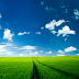 Green Field Ipad Wallpaper