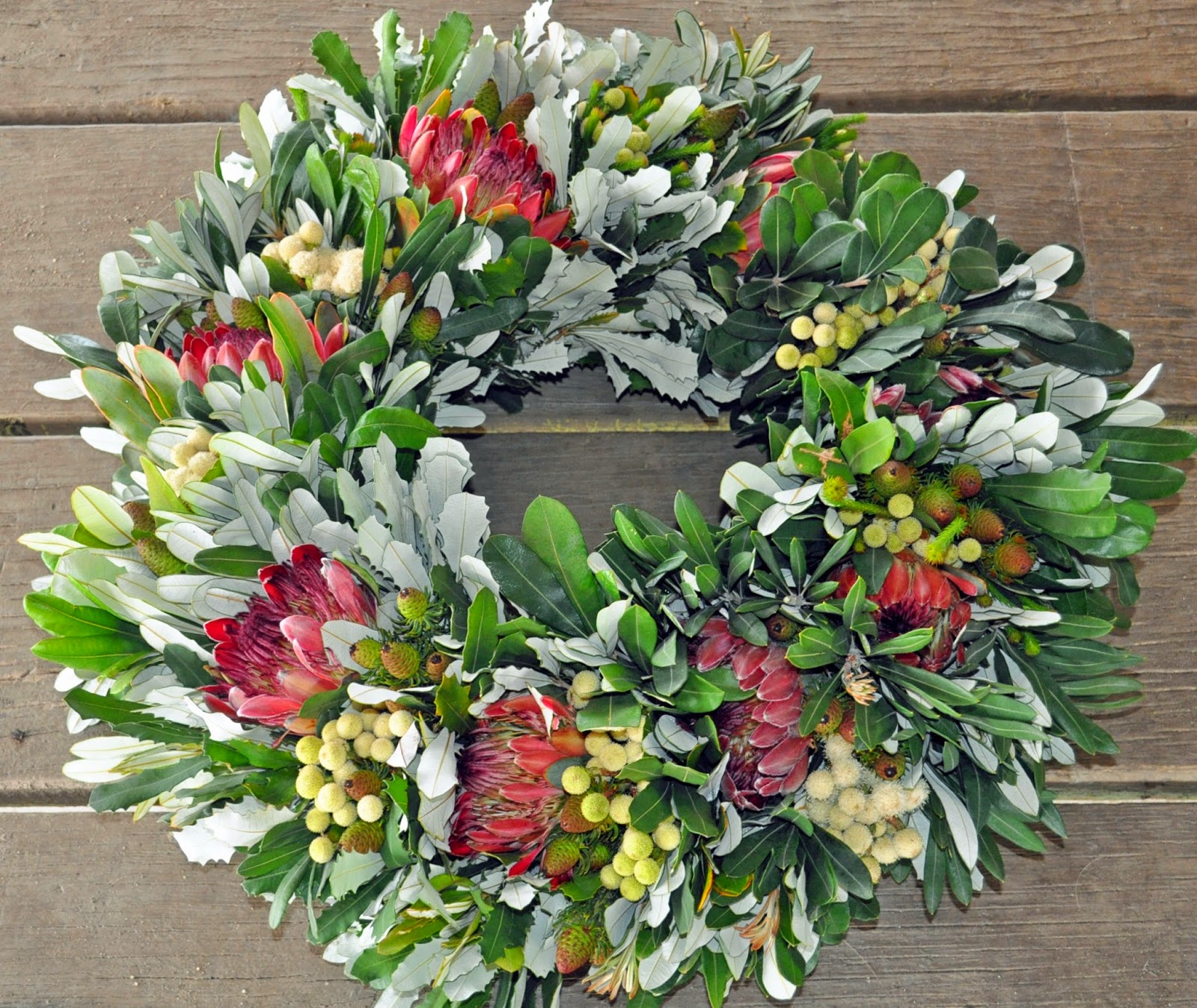 A Passion for Flowers Banksia Integrifolia Fabulous Foliage