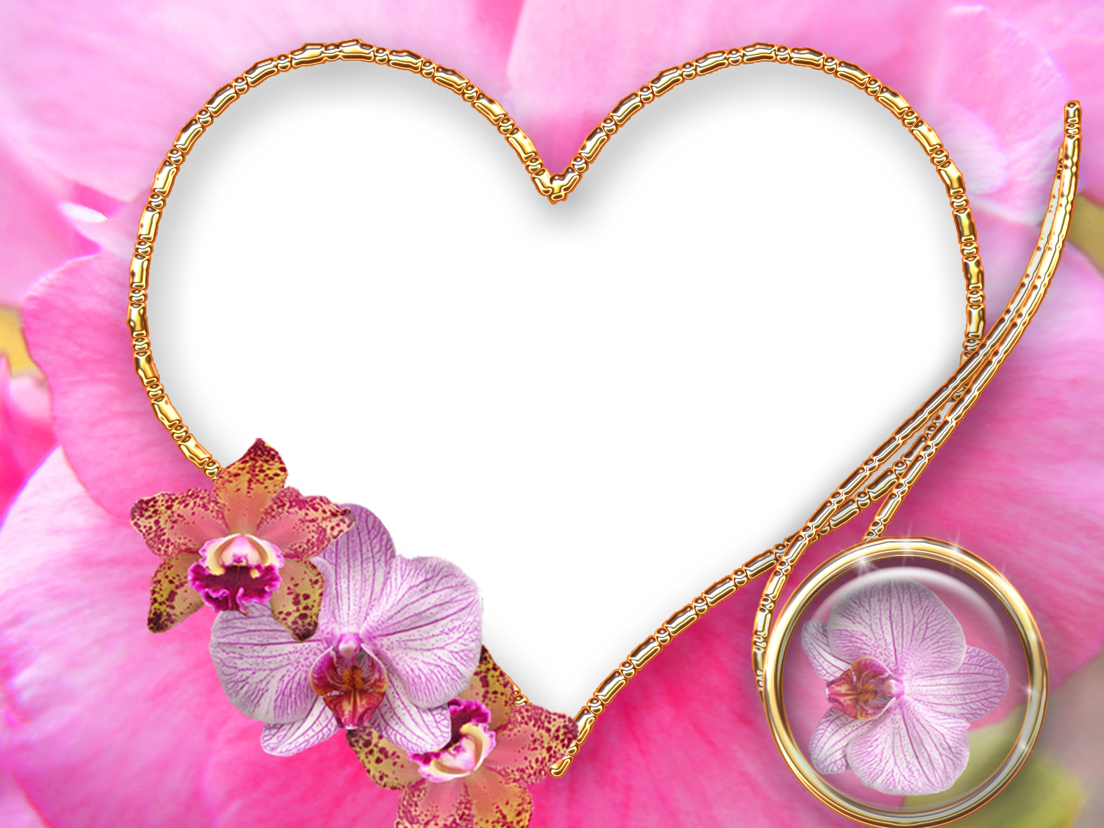 Álbum de Molduras de coração ~ Leãozinho Festa