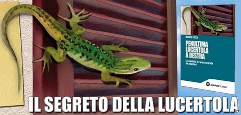 Il segreto della lucertola